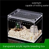 ant nest display box