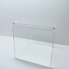 ant nest display box