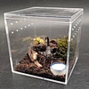 Square 5 Sided Box Perspex Shop