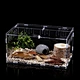 ant nest display box